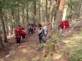 photo coins arrondis